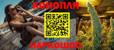бошки Будённовск