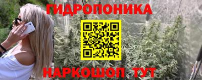 бошки Будённовск